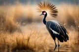 grey crowned crane in continent AI Generated 