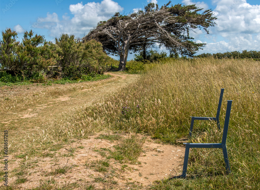 Banc inutile sur la pointe de Chassiron à Saint-Denis-d'Oléron, Charente-Maritime, France