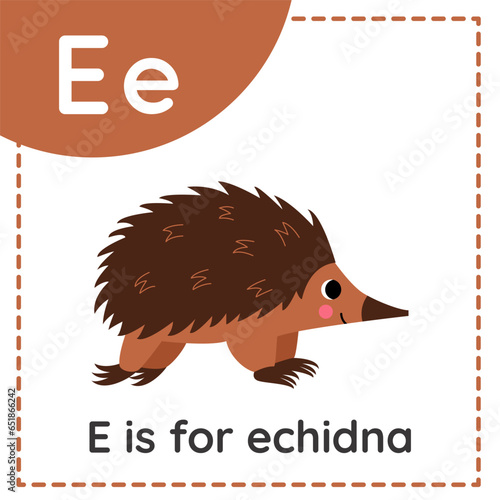 Learning English alphabet for kids. Letter E. Cute cartoon echidna.