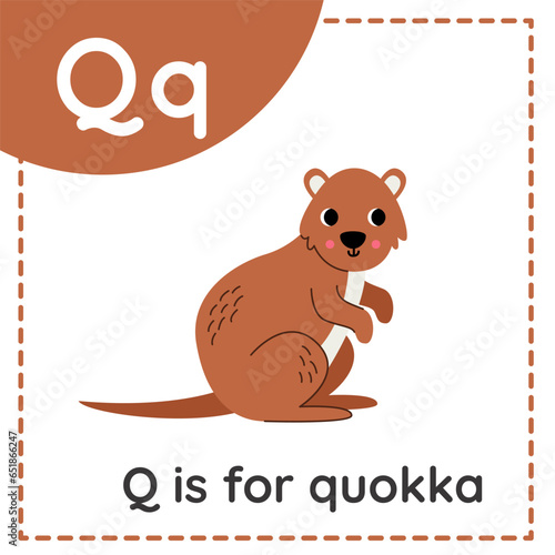 Learning English alphabet for kids. Letter Q. Cute cartoon quokka.
