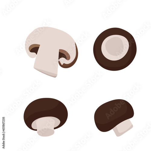 Champignon mushrooms vector illustration