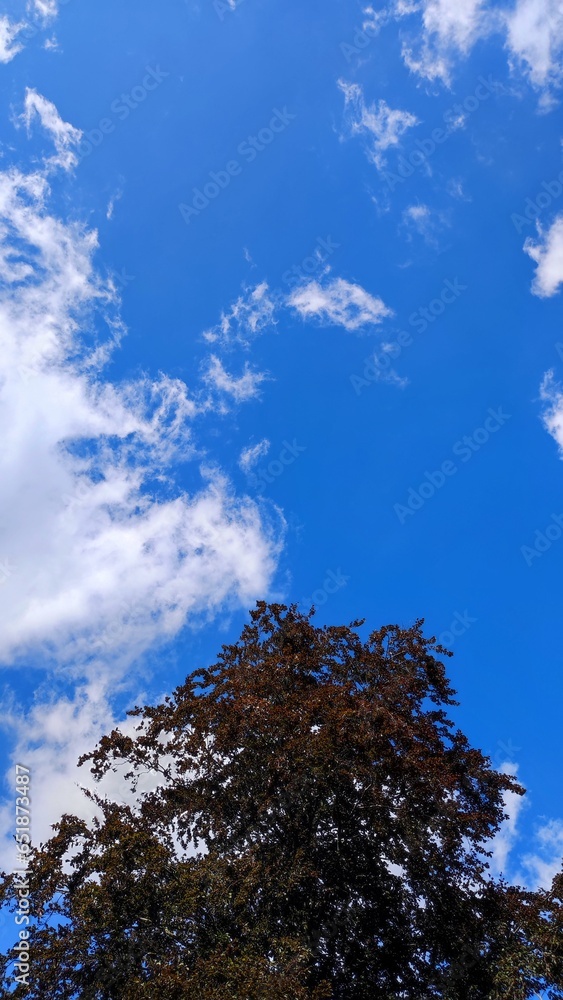 Obraz premium sky and cloud