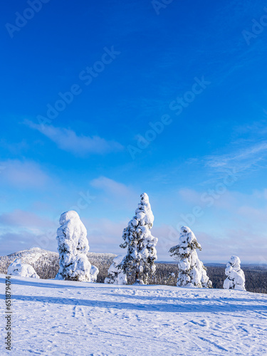 Landschaft mit Schnee im Winter in Ruka, Finnland photo