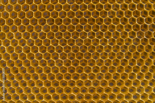 Background texture and pattern of section voshchina of wax honeycomb from a bee hive for filled with honey. Voshchina an artificial basis for the construction of honeycombs, sheet of wax of cells