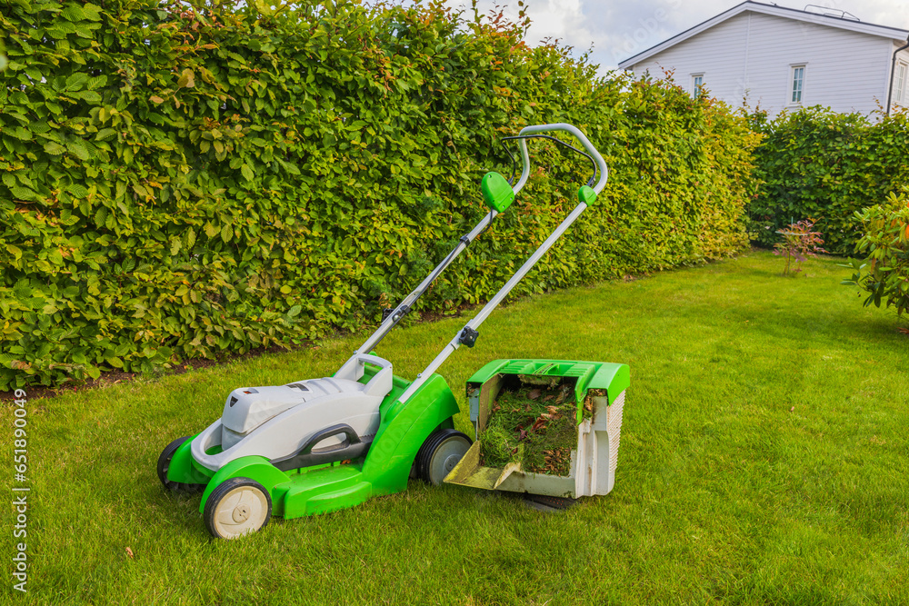 Fototapeta premium View of trimmed green lawn with electric lawn mower in private house in garden. Sweden.