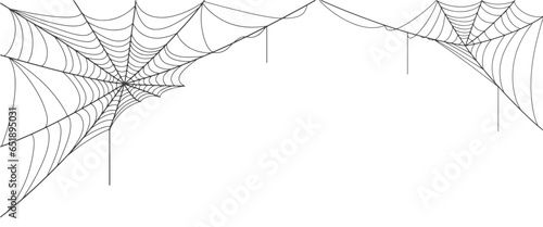 Spider web vector illustration photo