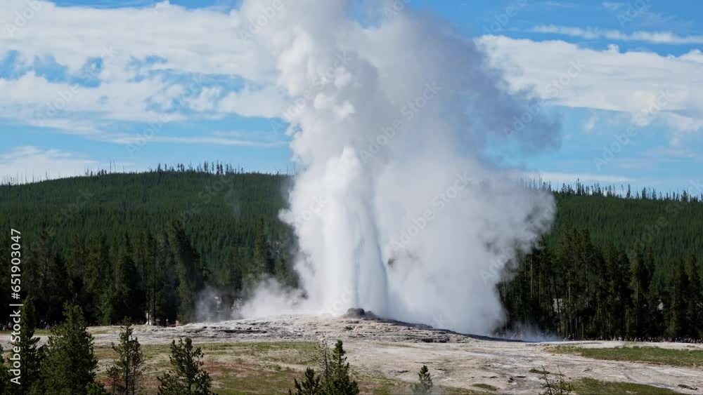 erupting Old Faithful Geyser, Upper Geyser Basin, Yellowstone National Park, Wyoming, United States of America erupting Old Faithful Geyser, Upper Geyser Basin, Yellowstone National Park, Wyoming, United States of America