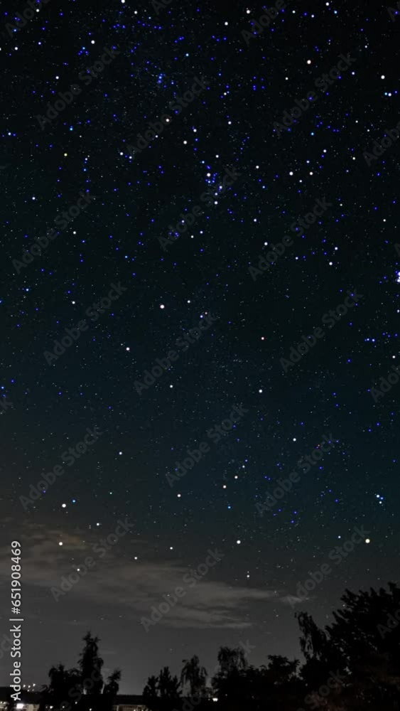 Milky way galaxy stars night sky over forest Time lapse Stock Video ...