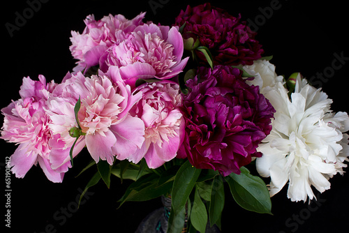 A bouquet of pink, purple and white peonies close-up on a black background