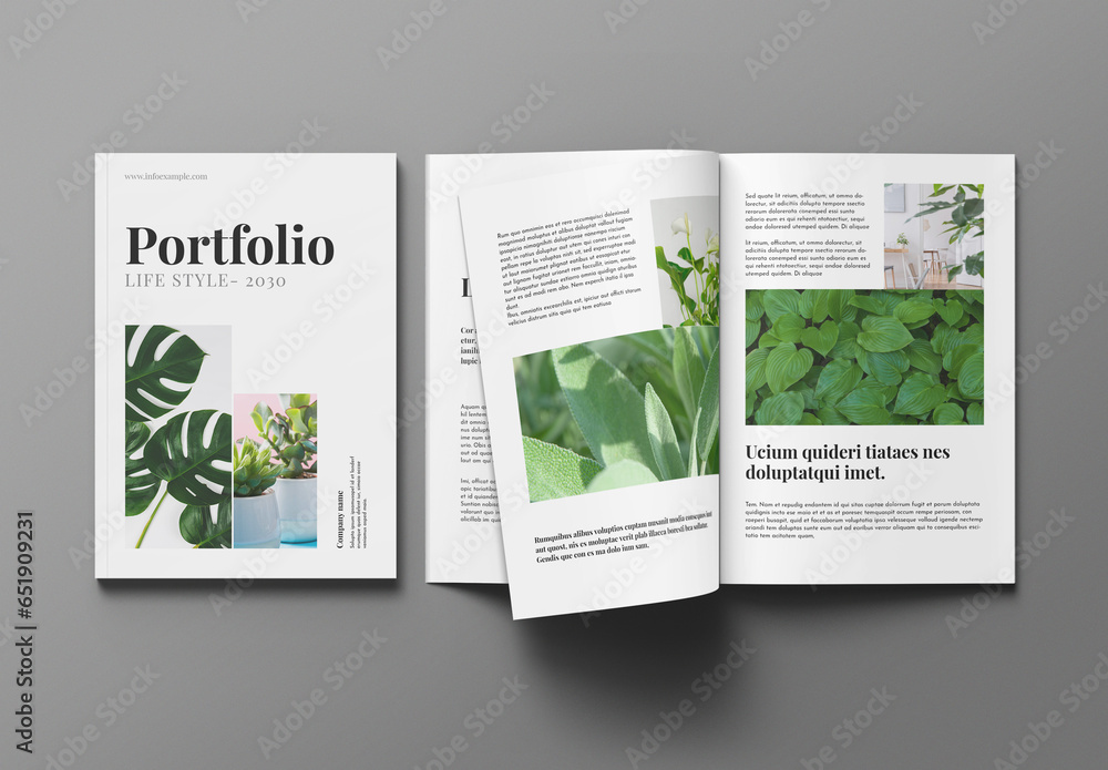 Life Portfolio Example Life Style Portfolio Template Stock Template | Adobe Stock