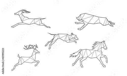 geometri animals