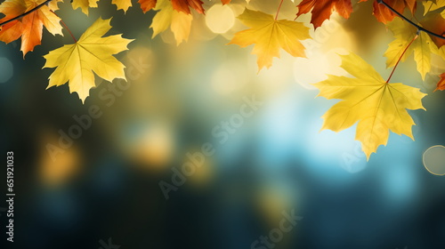 Autumn natural background, design, banner or template. Yellow and red maple leaves are flying and falling down. Autumnal landscape.