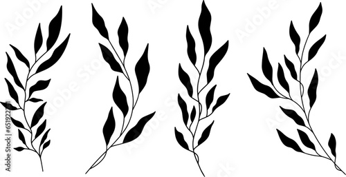 Set of silhouettes branches with leaf and stem in modern style. Vector leaves isolated collection. Hand drawn decorative botanical elements for wedding invitation cards.