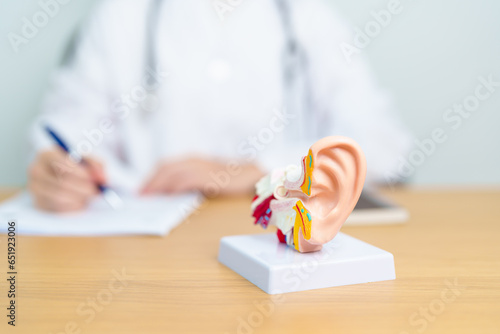 Fotografie Doctor with human Ear anatomy model
