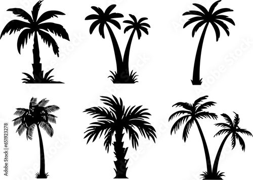 Palm and date trees silhouette. Coconut tree  date palm. Tropical plants in high HD resolution. Poster  flyer or banner idea.