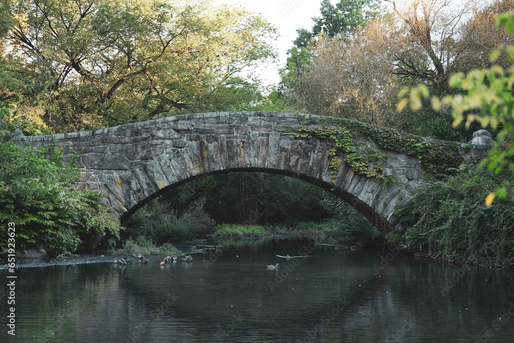bridge in the park bridge in the park