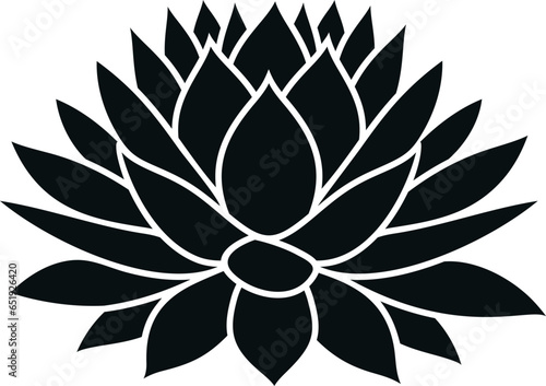 Blue agave. Isolated agave on white background