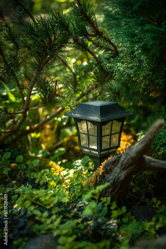 garden lantern in fir trees. New Year