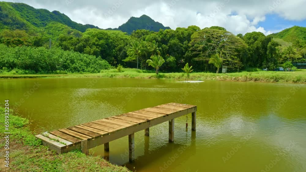 Small Pond Dock In Hawaiian Forest Small Pond Dock In Hawaiian Forest