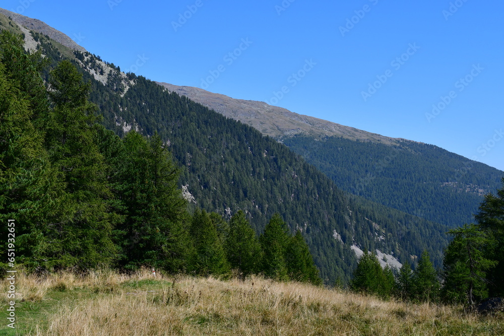 Fototapeta premium Schöne Landschaft mit Bergen im Ultental in Südtirol 
