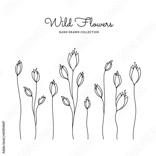 Flowering branch hand drawn in silhouette style. Trendy botanical elements of leaves and wildflowers. Hand drawn floral wedding, minimalist flowers with elegant leaves for invitation cards
