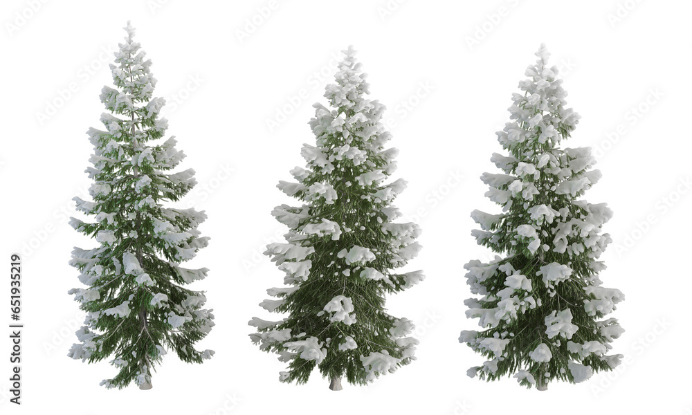 christmas tree branches christmas tree branches
