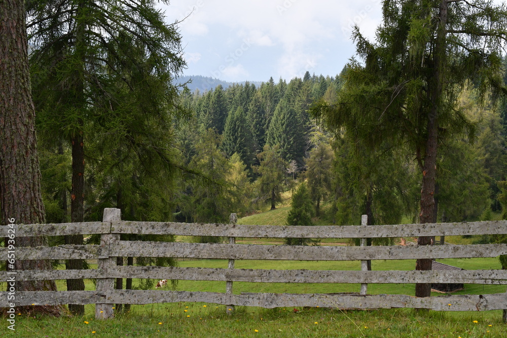 Fototapeta premium Schöne Landschaft am Salten in Südtirol 