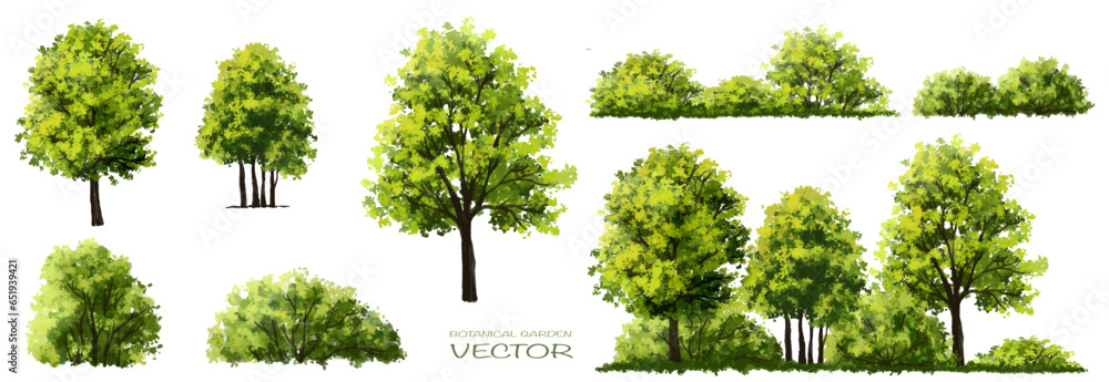 Fototapeta premium Vector of green grass or shrub isolated on white background,tree elevation for landscape concept,environment panorama scene,eco design,watercolor meadow for spring