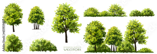 Vector of green grass or shrub isolated on white background,tree elevation for landscape concept,environment panorama scene,eco design,watercolor meadow for spring photo