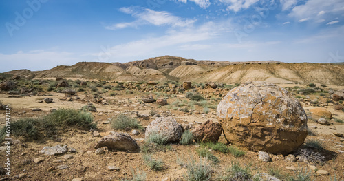 Tableau sur toile Unusual spherical shape of stones in the Kazakh steppe Mangistau, valley of ball
