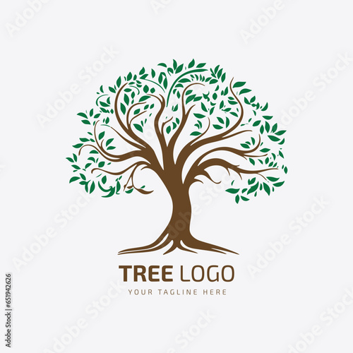 Tree logo vector, silhouette, Forest illustration, tree design, Pine Tree