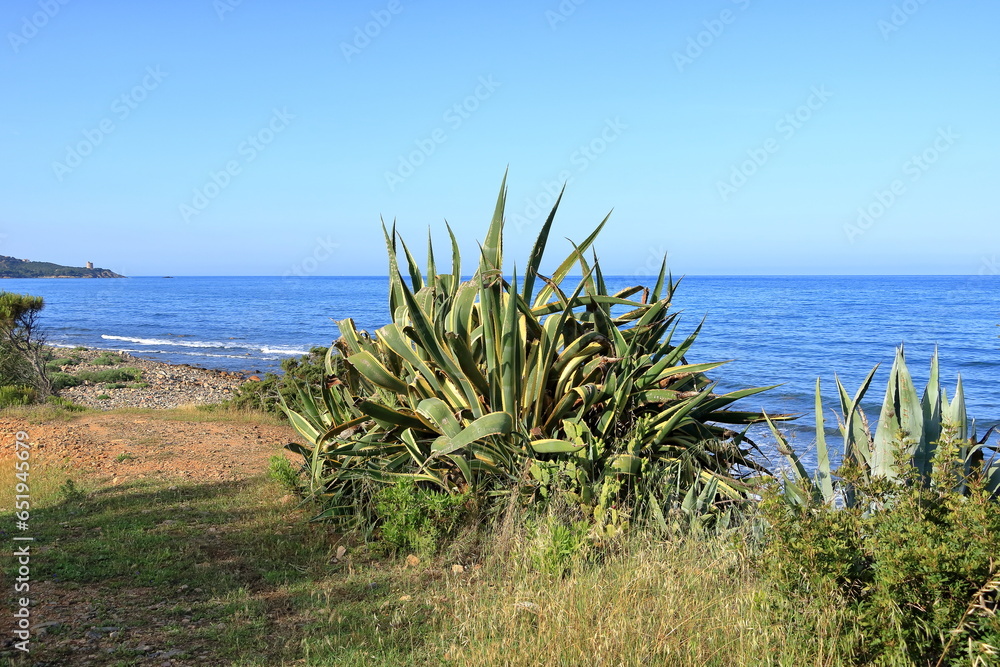Panoramic view of Spiaggia di Barisoni beach in Tertenia. Sardinia, Italy