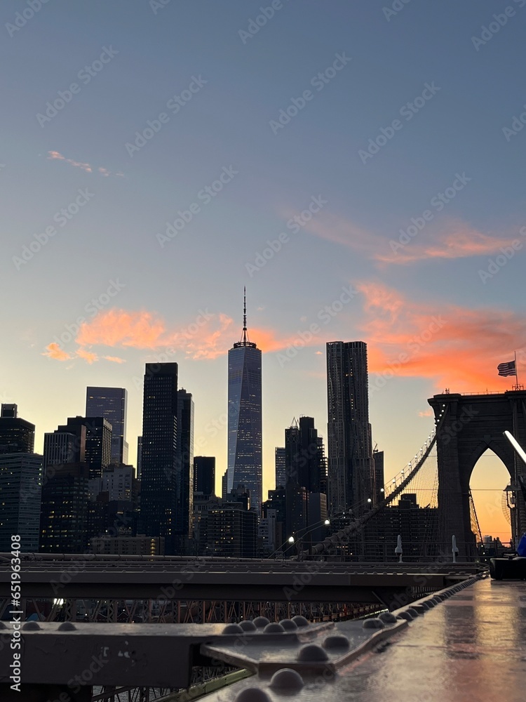 Fototapeta premium skyline New York City