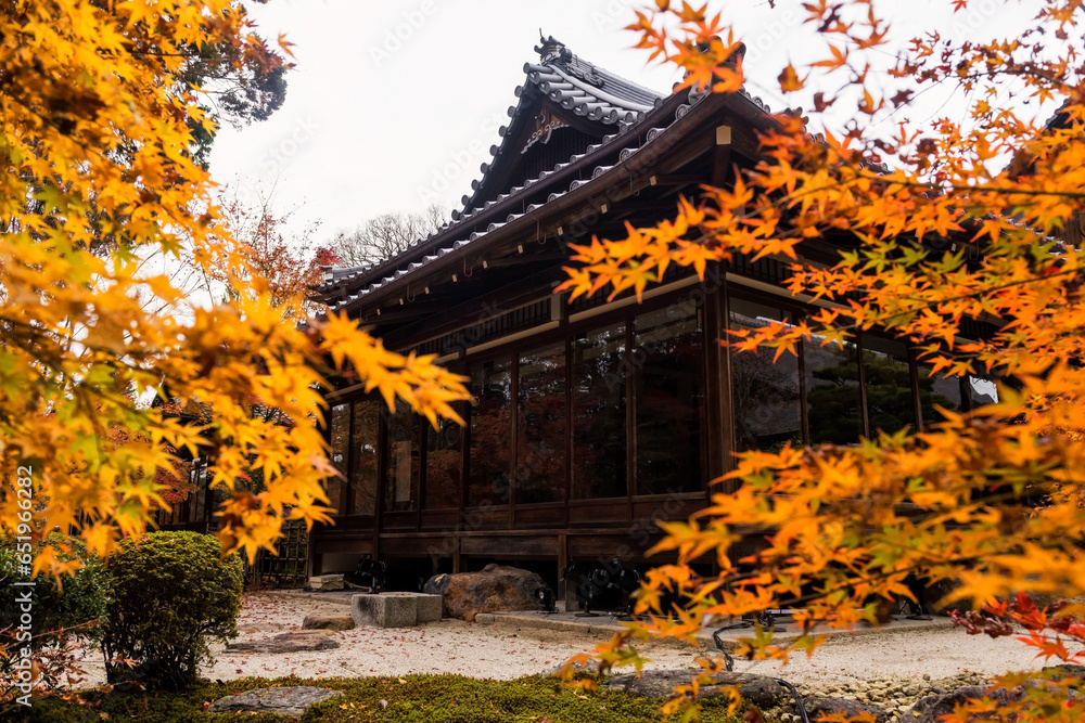 Yellow maple leaf at temple building of Tenju-an at fall, Kyoto