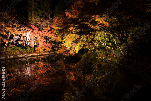 Fototapeta Naklejka Na Ścianę i Meble -  Light up autumn leaves with reflection at Kiyomizu dera, Kyoto