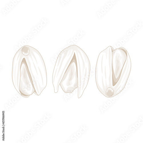 Pistachio Nut Line Art Illustration Logo