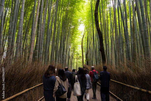 tourist people walking along bamboo forest grove, Arashiyama