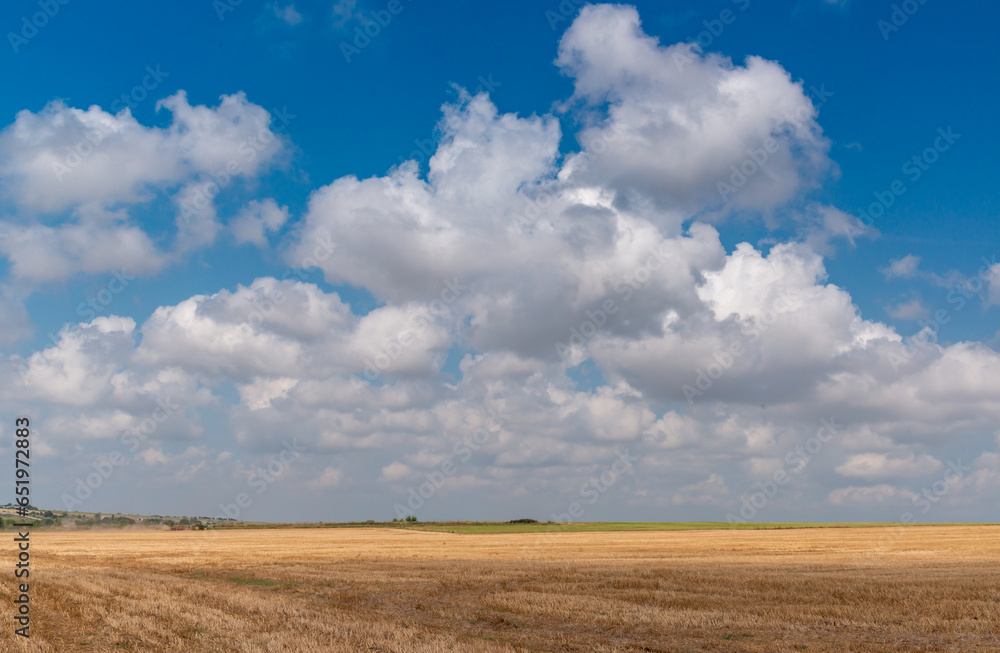 Natural landscape, White cumulus clouds over a wheat field, Ukraine Natural landscape, White cumulus clouds over a wheat field, Ukraine