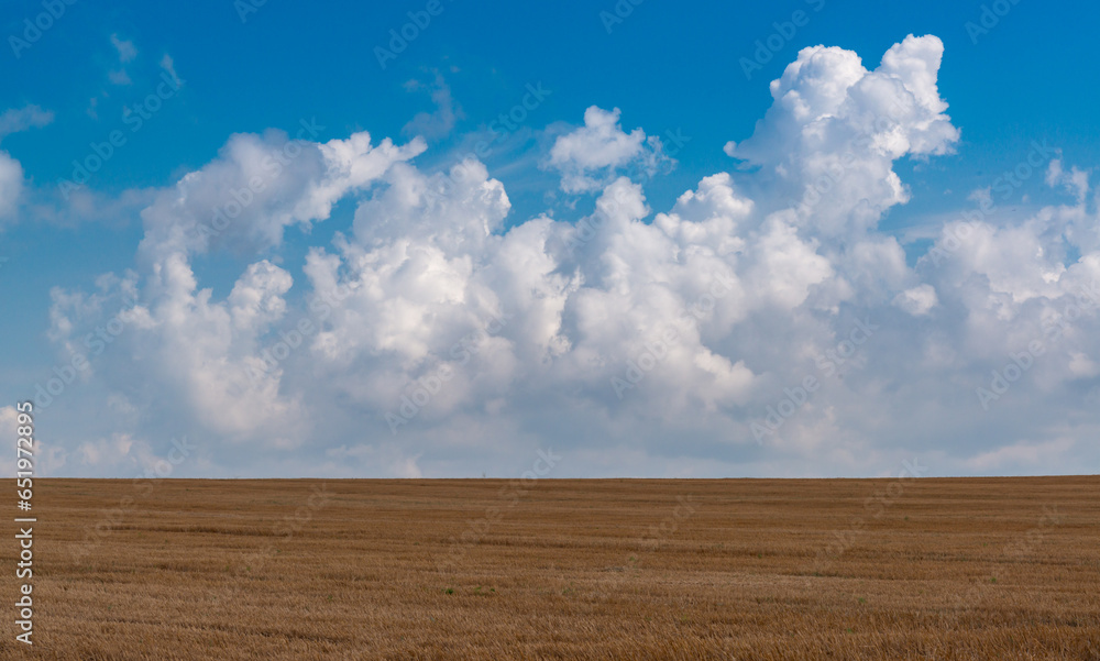 Natural landscape, White cumulus clouds over a wheat field, Ukraine Natural landscape, White cumulus clouds over a wheat field, Ukraine