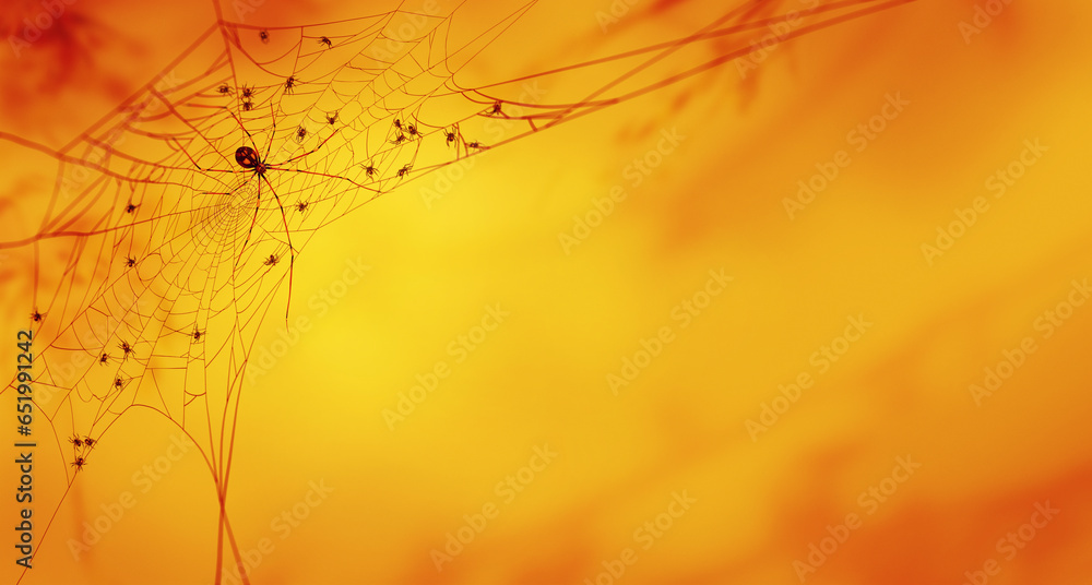 Halloween red spider and baby spiders on web Halloween red spider and baby spiders on web