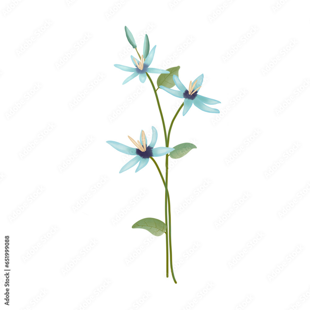 flowers isolated on white flowers isolated on white