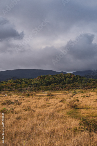 landscape with clouds on chiloe in chile