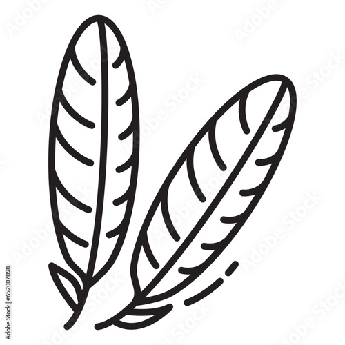 Turkey feather icon