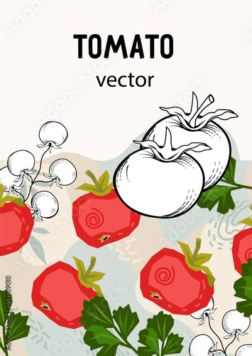 Tomato sauce, juice and soup label and packaging design element, hand drawn vector illustration. Design with tomato for food packaging, branding or advertising.