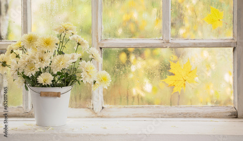 chrysanthemums in  vase on  windowsill in autumn