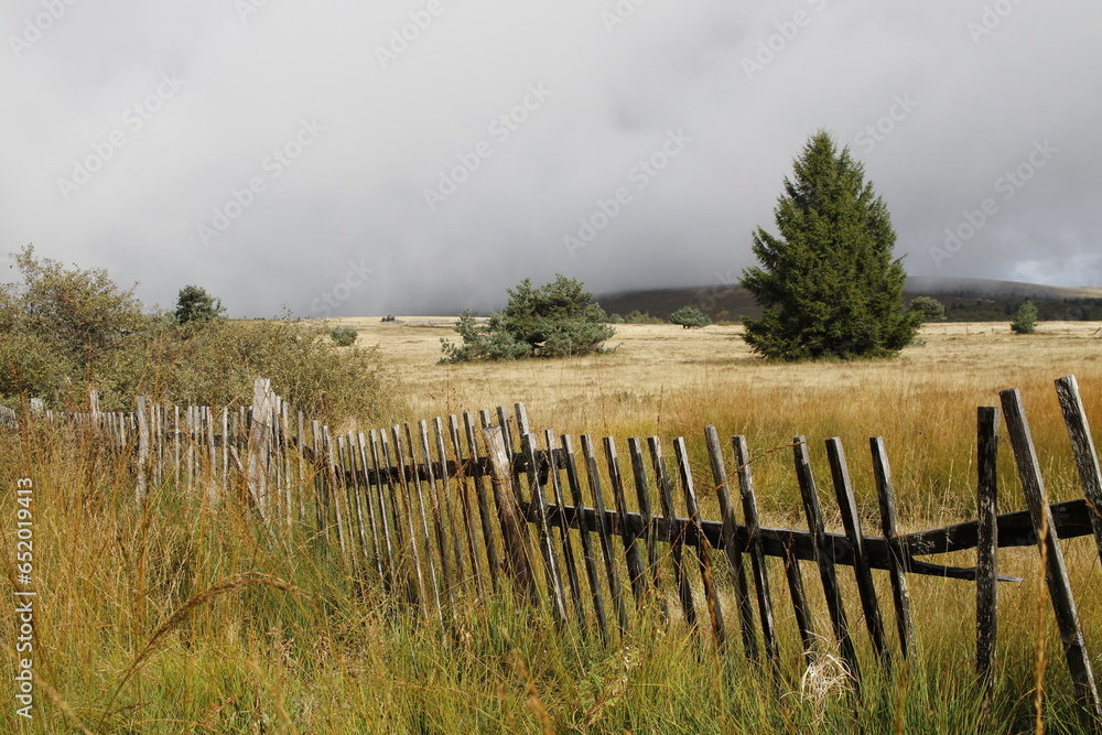 Obraz premium Plateau des Hautes Chaumes