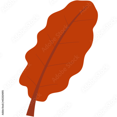orange brown leaf, autumn leaves, doodle drown style isolate on white background 