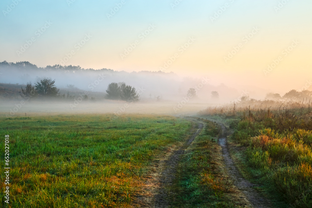Picturesque landscape with a dirt road in the countryside. Fog over a meadow with grass and trees. Nature of the forest-steppe in the morning in summer