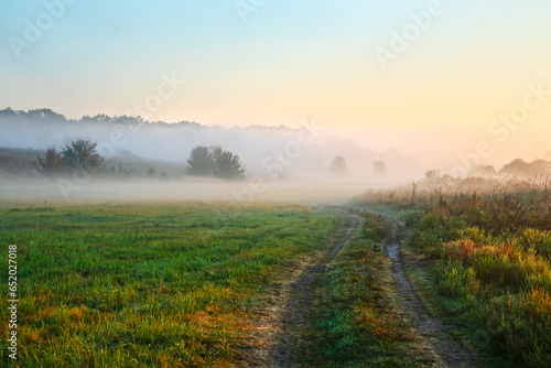 Fototapeta Naklejka Na Ścianę i Meble -  Picturesque landscape with a dirt road in the countryside. Fog over a meadow with grass and trees. Nature of the forest-steppe in the morning in summer