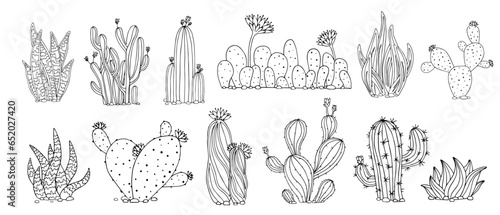 Linear sketch of coloring plants of the succulent and flowering cacti family. Vector graphics.